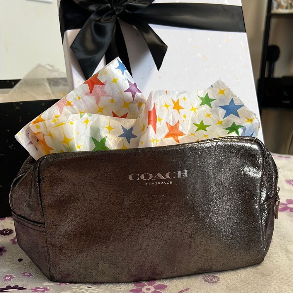 Coach Metallic Pouch